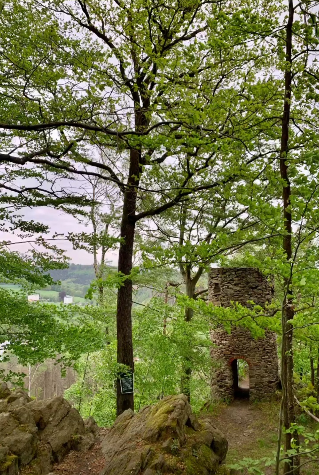 Der Fuchsturm im Mai